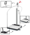 Pèse-personne électronique médical avec main courante, affichage ID et intégration DME 300 kg SECA 655 Scale-up Line